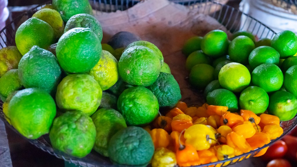 NUDEC Conducted a gender study on Harnessing Agriculture and Nutrition Outcomes (HANO) in Lindi Region,&nbsp;Tanzania