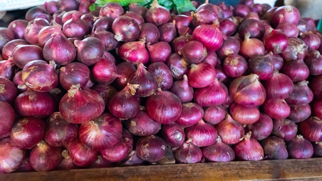 NUDEC Conducted an Evaluation of the In-service Nutrition Training Program (IST) in&nbsp;Tanzania